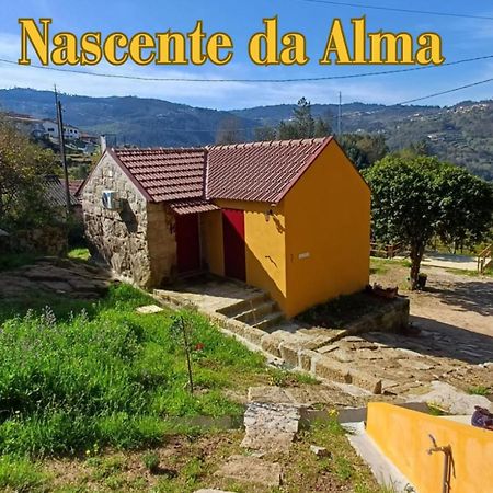 Nascente, Place In Nature Next To A Waterfall Loureiro (Porto) Exterior foto