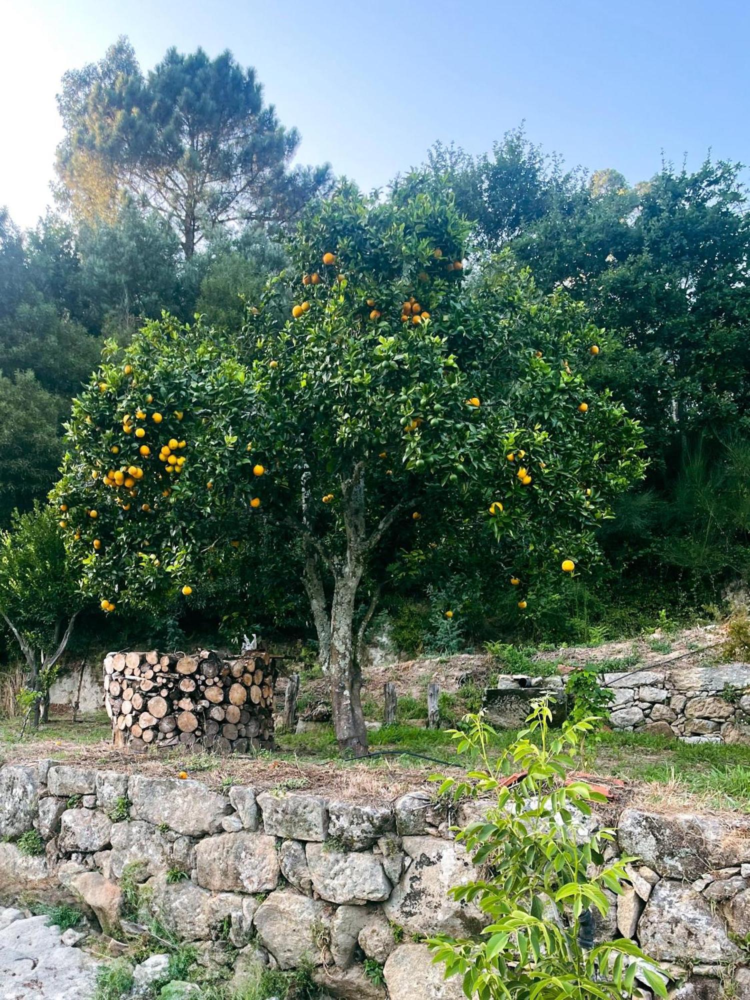 Nascente, Place In Nature Next To A Waterfall Loureiro (Porto) Exterior foto