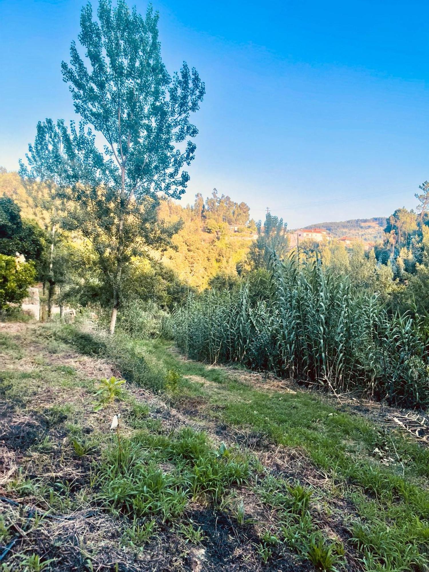 Nascente, Place In Nature Next To A Waterfall Loureiro (Porto) Exterior foto