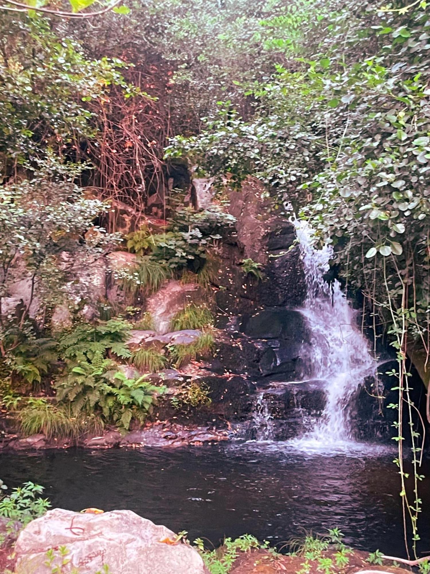 Nascente, Place In Nature Next To A Waterfall Loureiro (Porto) Exterior foto